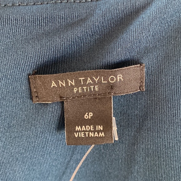 ANN TAYLOR PETITE BIT EQUESTRIAN HORSES 3/4 SLEEVE DRESS 6 P NEW - Picture 9 of 11